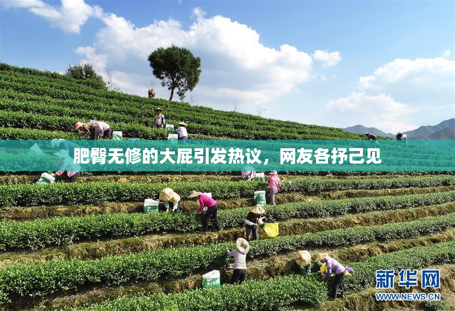 肥臀无修的大屁引发热议，网友各抒己见