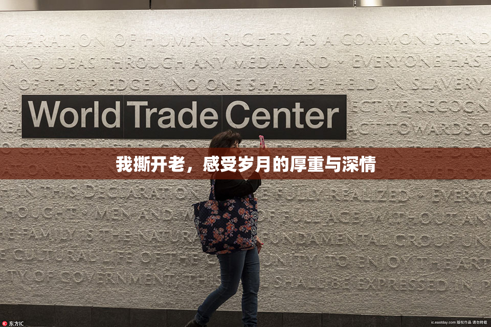 我撕开老，感受岁月的厚重与深情