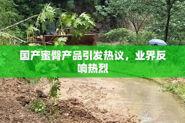 国产蜜臀产品引发热议，业界反响热烈