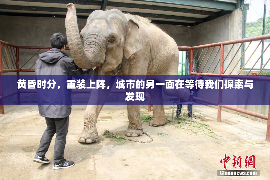 黄昏时分，重装上阵，城市的另一面在等待我们探索与发现