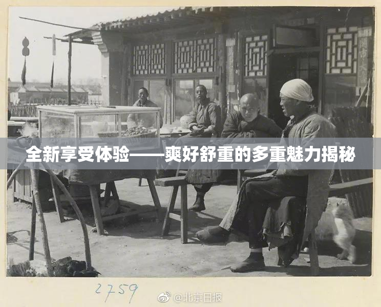 全新享受体验——爽好舒重的多重魅力揭秘