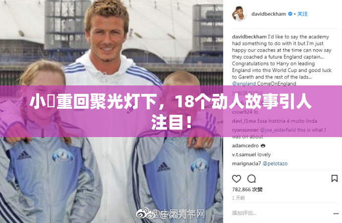 小泬重回聚光灯下，18个动人故事引人注目！