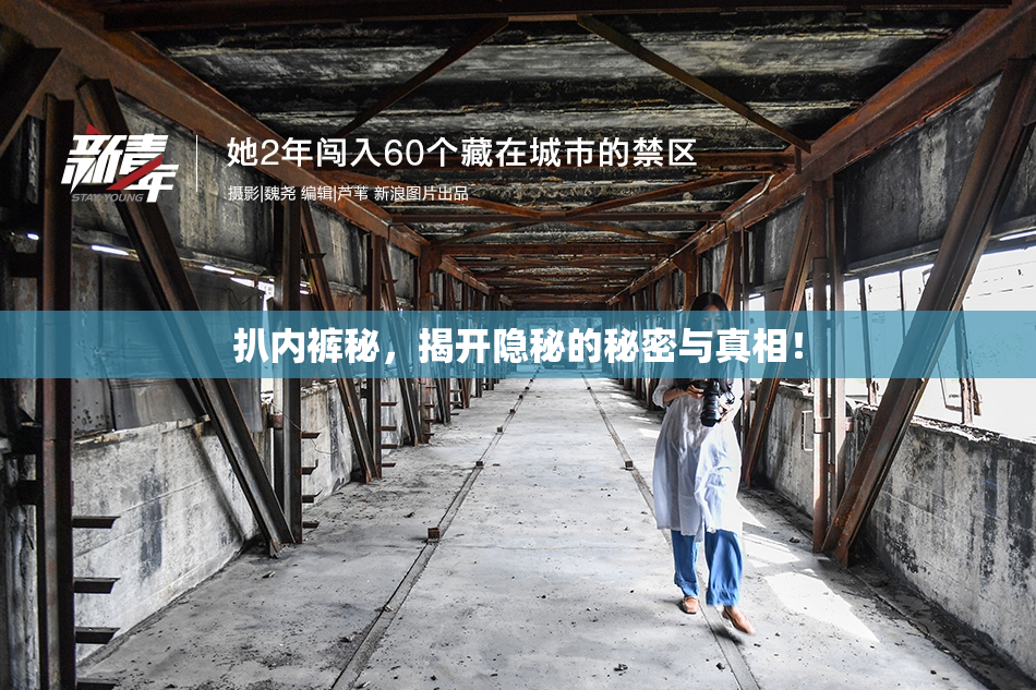 扒内裤秘，揭开隐秘的秘密与真相！