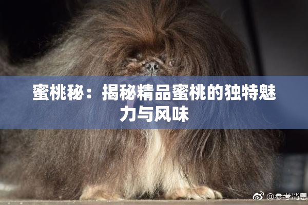 蜜桃秘：揭秘精品蜜桃的独特魅力与风味
