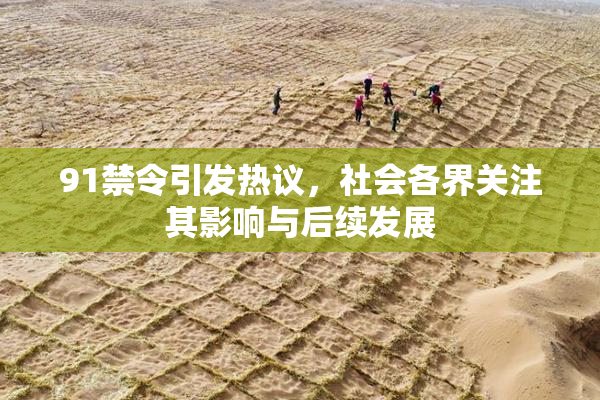 91禁令引发热议，社会各界关注其影响与后续发展