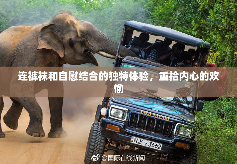连裤袜和自慰结合的独特体验，重拾内心的欢愉