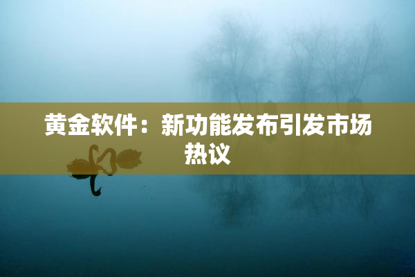 黄金软件：新功能发布引发市场热议
