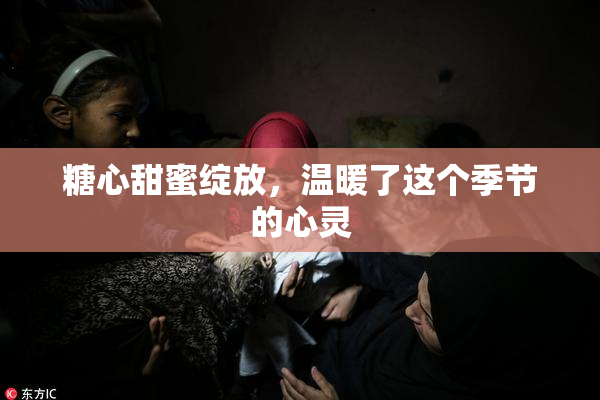 糖心甜蜜绽放，温暖了这个季节的心灵