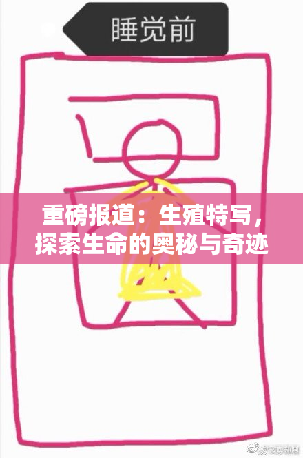 重磅报道：生殖特写，探索生命的奥秘与奇迹