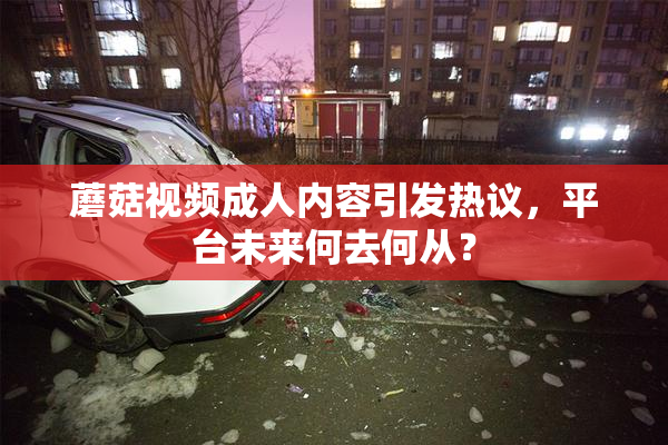 蘑菇视频成人内容引发热议，平台未来何去何从？