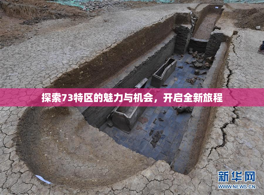 探索73特区的魅力与机会，开启全新旅程
