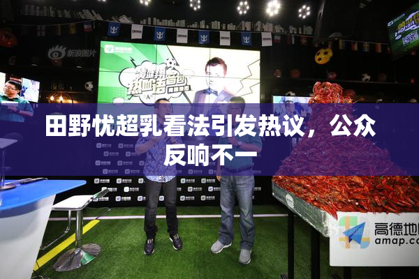 田野忧超乳看法引发热议，公众反响不一