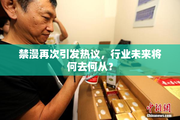 禁漫再次引发热议，行业未来将何去何从？