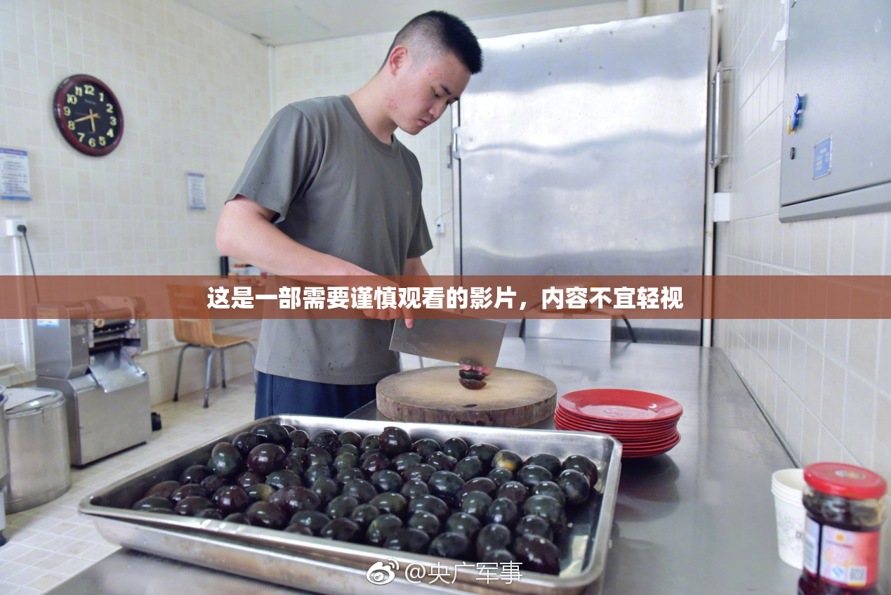这是一部需要谨慎观看的影片，内容不宜轻视