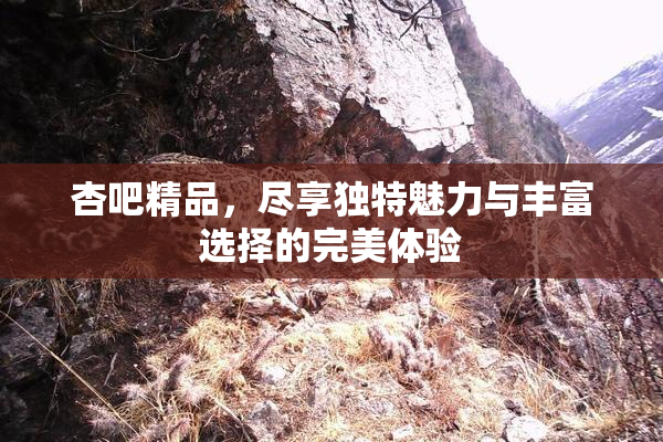 杏吧精品，尽享独特魅力与丰富选择的完美体验