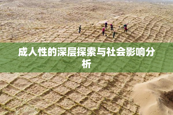 成人性的深层探索与社会影响分析