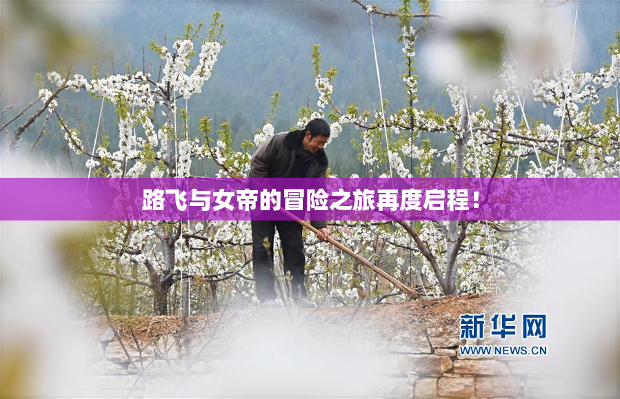 路飞与女帝的冒险之旅再度启程！