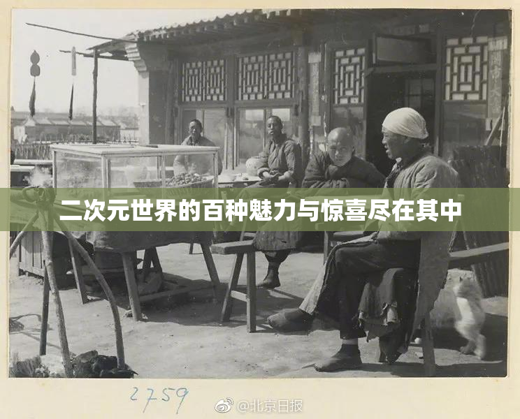 二次元世界的百种魅力与惊喜尽在其中