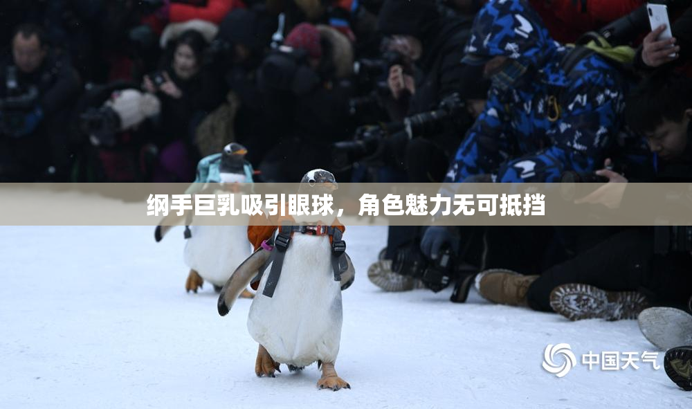 纲手巨乳吸引眼球，角色魅力无可抵挡