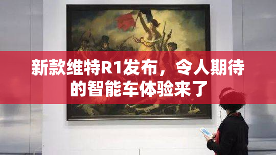 新款维特R1发布，令人期待的智能车体验来了