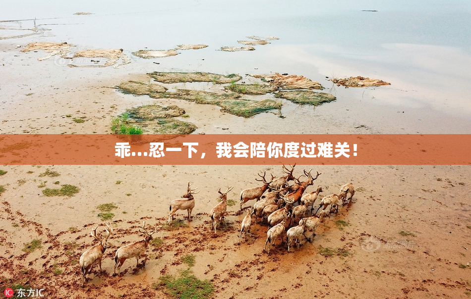 乖…忍一下，我会陪你度过难关！