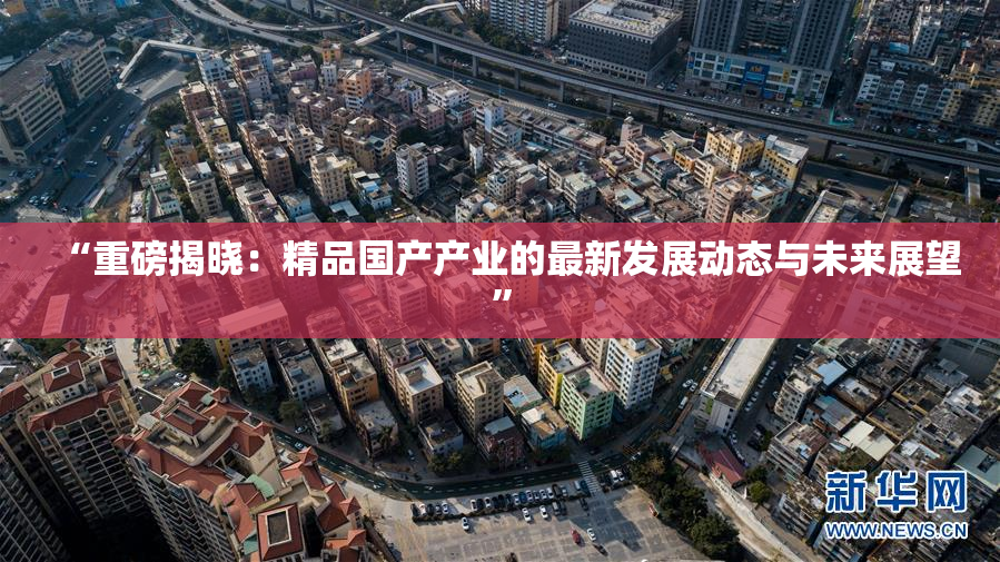 “重磅揭晓：精品国产产业的最新发展动态与未来展望”
