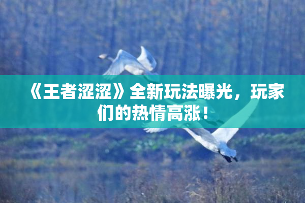 《王者涩涩》全新玩法曝光，玩家们的热情高涨！