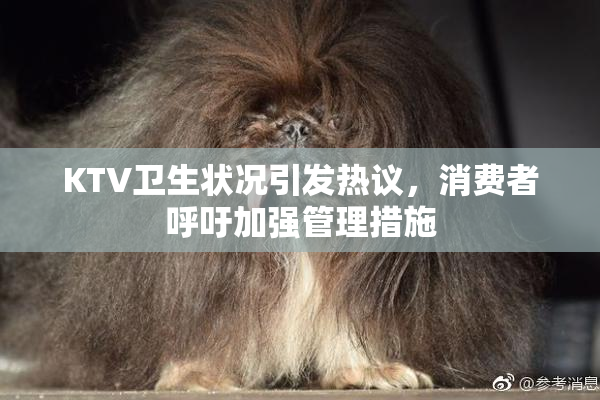 KTV卫生状况引发热议，消费者呼吁加强管理措施