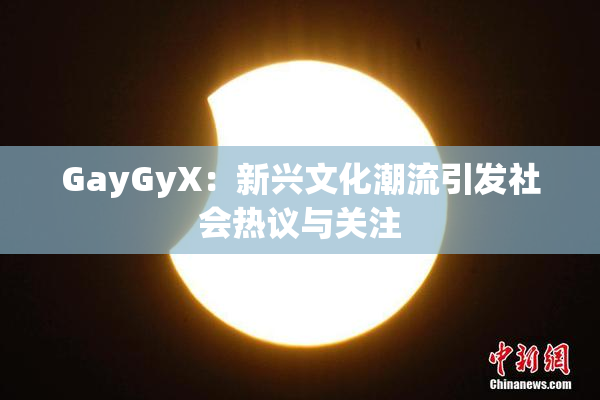GayGyX：新兴文化潮流引发社会热议与关注