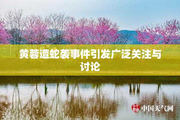 黄蓉遭蛇袭事件引发广泛关注与讨论