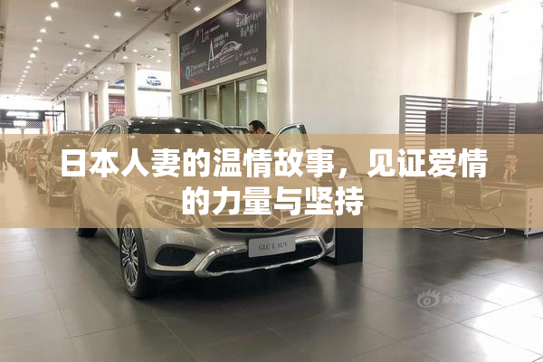 日本人妻的温情故事，见证爱情的力量与坚持