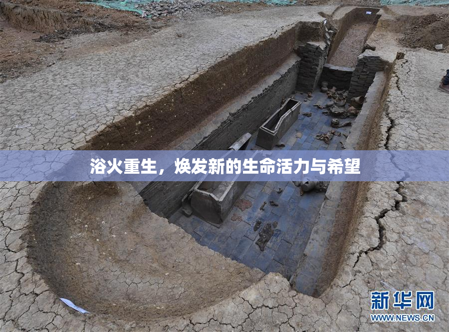 浴火重生，焕发新的生命活力与希望