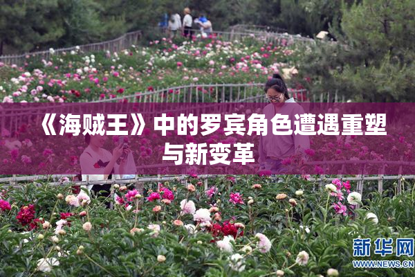 《海贼王》中的罗宾角色遭遇重塑与新变革