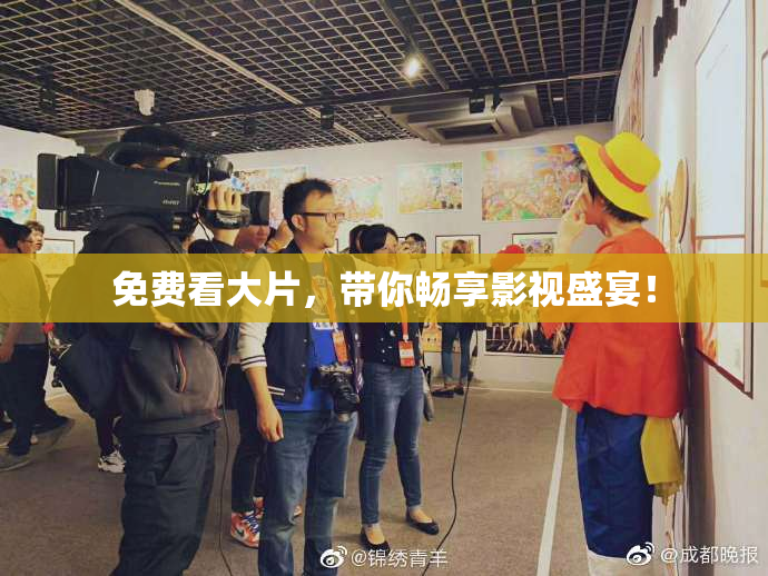 免费看大片，带你畅享影视盛宴！