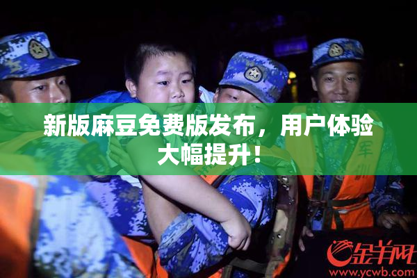 新版麻豆免费版发布，用户体验大幅提升！