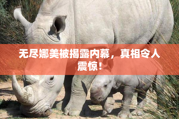 无尽娜美被揭露内幕，真相令人震惊！