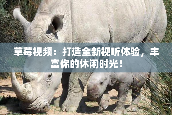 草莓视频：打造全新视听体验，丰富你的休闲时光！