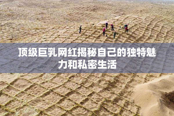 顶级巨乳网红揭秘自己的独特魅力和私密生活