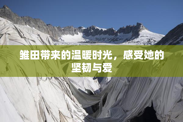 雏田带来的温暖时光，感受她的坚韧与爱