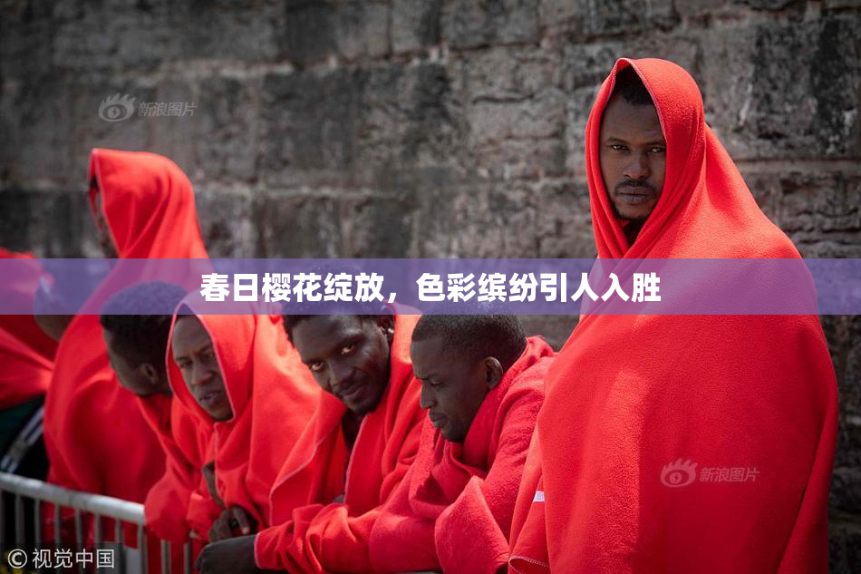 春日樱花绽放，色彩缤纷引人入胜