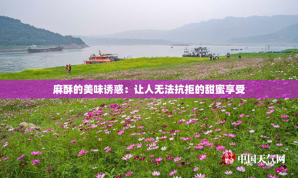 麻酥的美味诱惑：让人无法抗拒的甜蜜享受