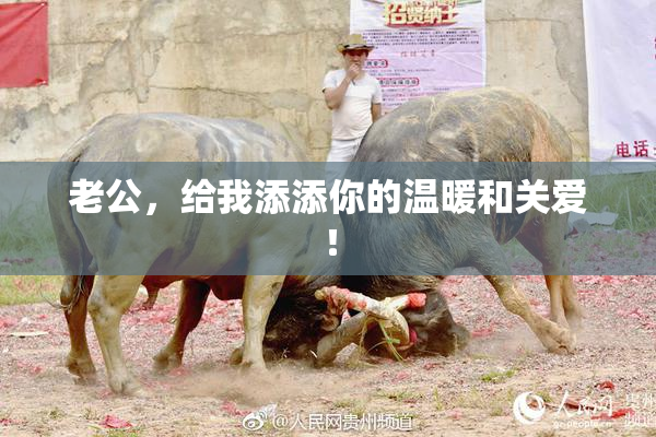 老公，给我添添你的温暖和关爱！