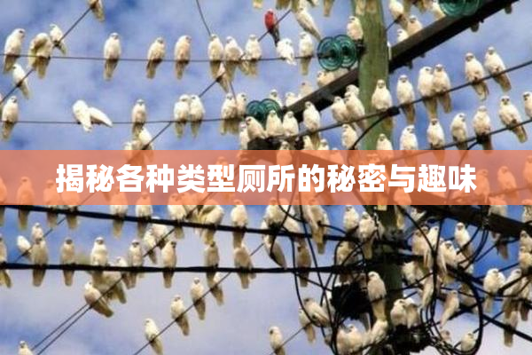 揭秘各种类型厕所的秘密与趣味