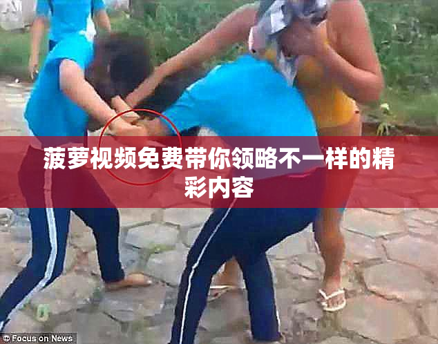 菠萝视频免费带你领略不一样的精彩内容