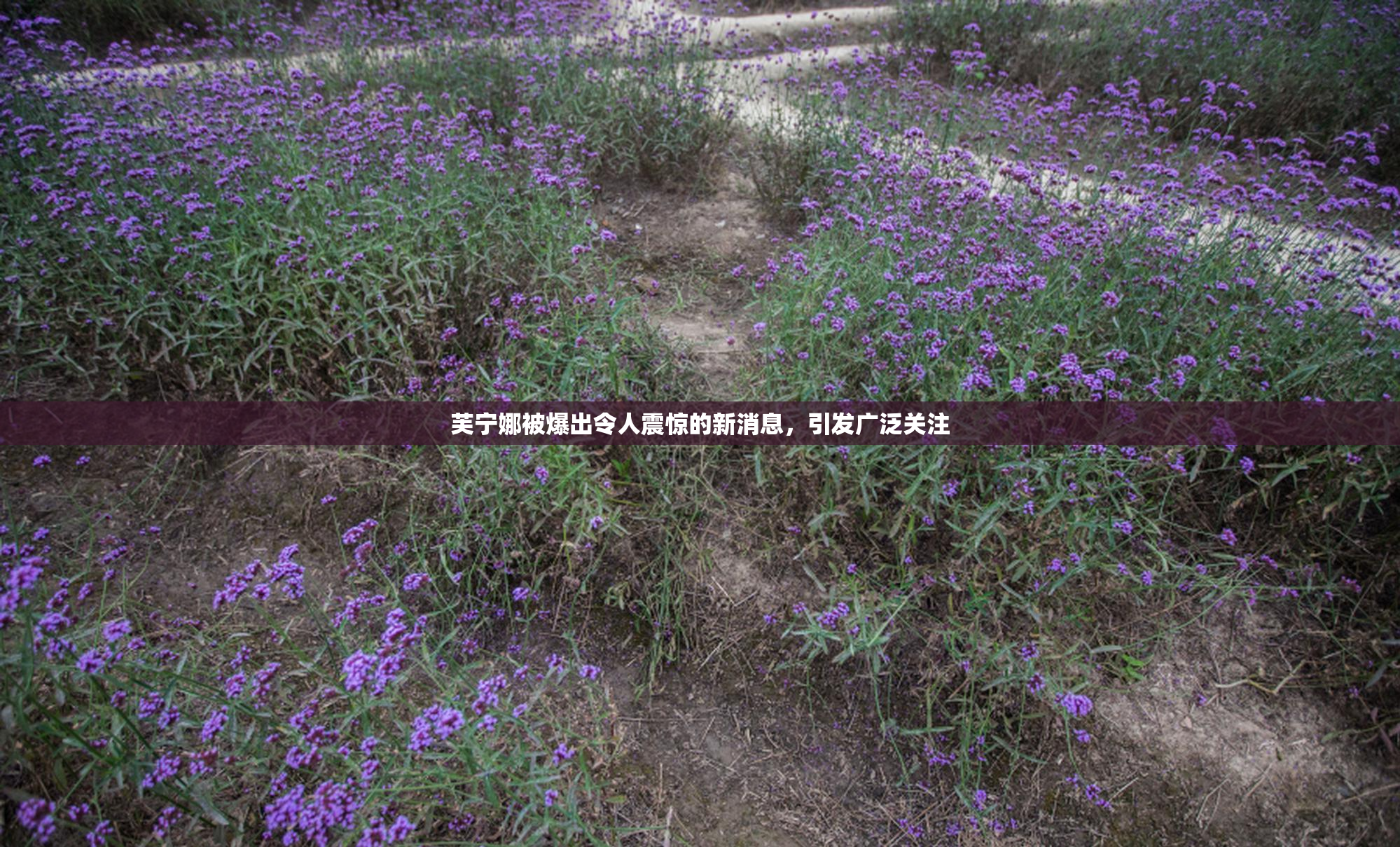 芙宁娜被爆出令人震惊的新消息，引发广泛关注