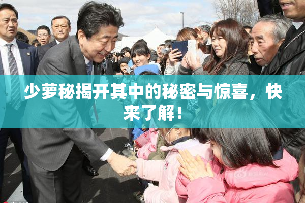 少萝秘揭开其中的秘密与惊喜，快来了解！