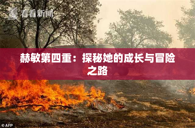 赫敏第四重：探秘她的成长与冒险之路