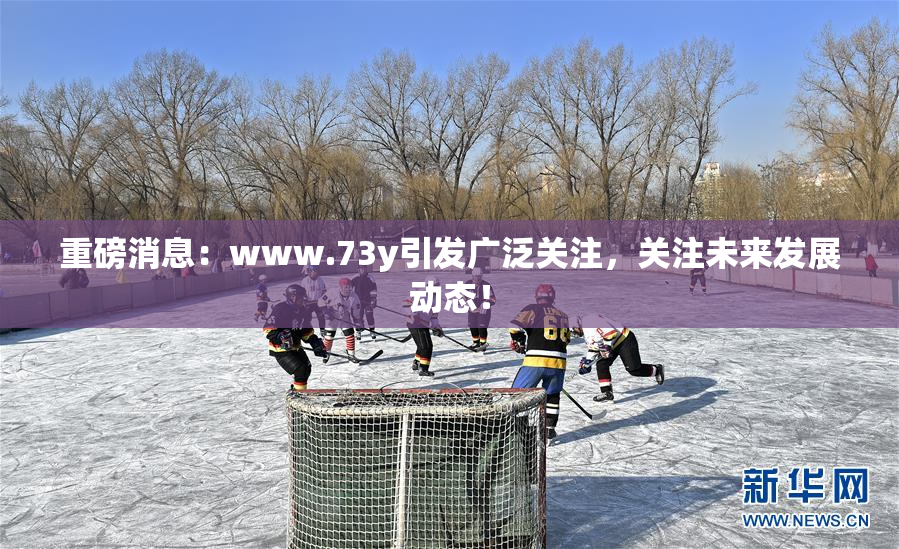 重磅消息：www.73y引发广泛关注，关注未来发展动态！