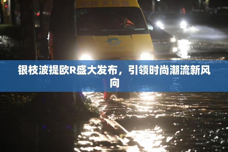 银枝波提欧R盛大发布，引领时尚潮流新风向