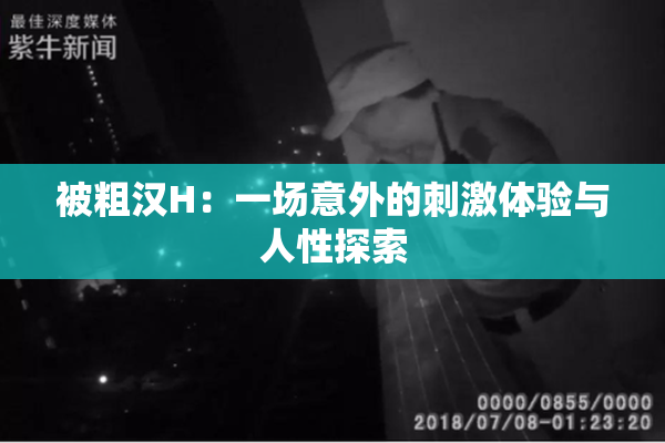 被粗汉H：一场意外的刺激体验与人性探索